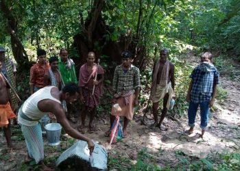 Guardians of Dasapalla forests  