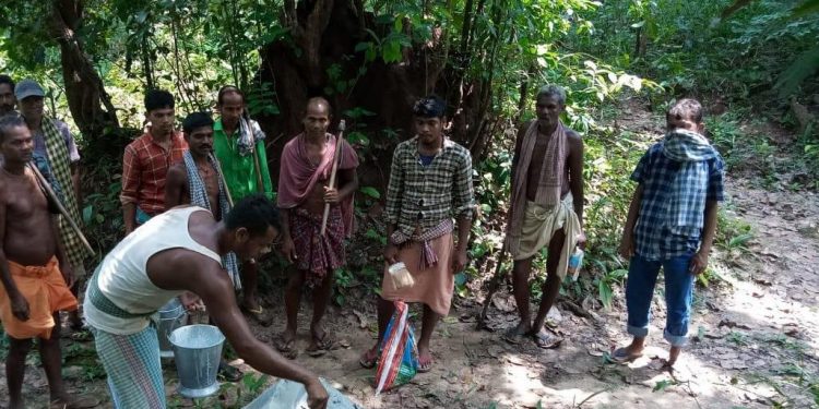 Guardians of Dasapalla forests  