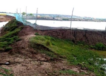 Mushrooming prawn gheries breed crime in Kendrapara