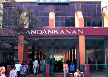 Nandankanan zoo opens gates for visitors Sunday; will follow these guidelines 
