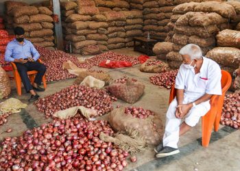 Onion Vendor