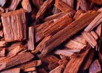 Sandalwood worth Rs 15 lakh recovered in Paralakhemundi