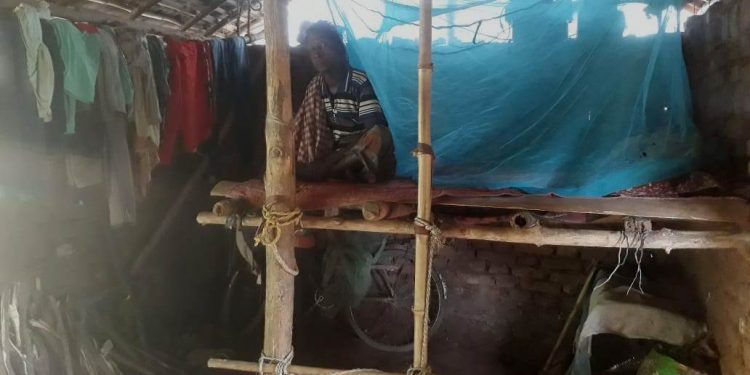 This 14-member tribal family in Odisha sleeps on ‘mancha’ in single-room accommodation 