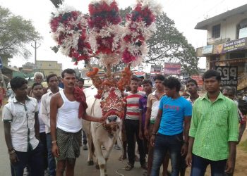 Uncertainty looms large on world famous bullock festival in Dhenkanal district’s Bhuban