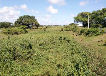 British era coast canal dying