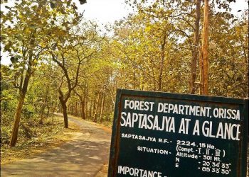 Dhenkanal forests turn from animals’ safe haven to poachers’ paradise