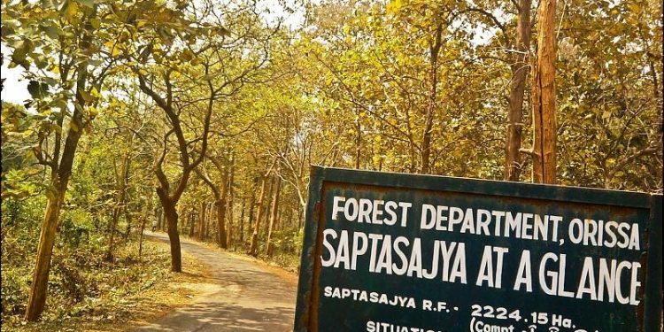 Dhenkanal forests turn from animals’ safe haven to poachers’ paradise