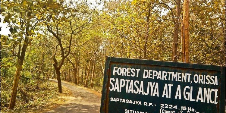 Dhenkanal forests turn from animals’ safe haven to poachers’ paradise