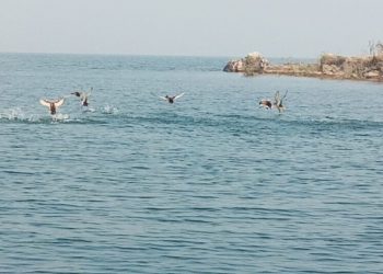 Diamond mine buried in Hirakud reservoir