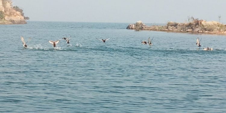 Diamond mine buried in Hirakud reservoir