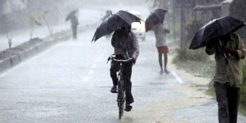 heavy rain alert