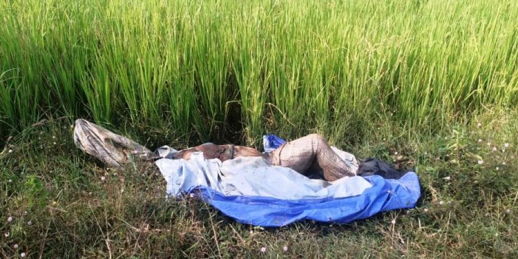 Man’s decomposed body found wrapped in polythene sheet in Cuttack