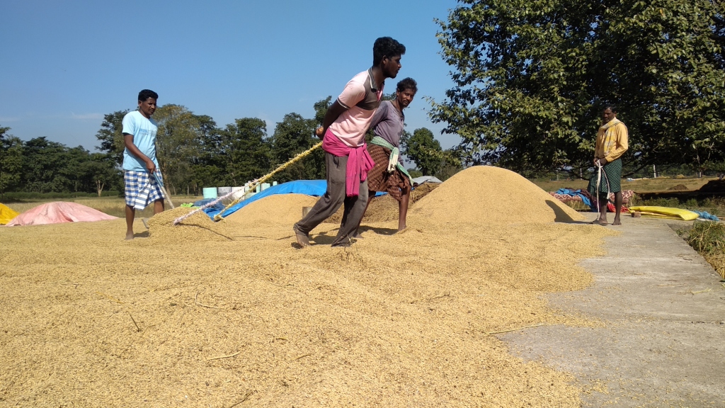 Middlemen knock on farmers’ doors