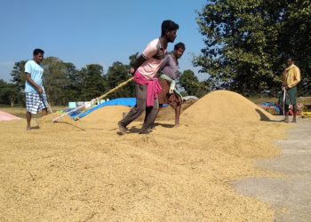 Middlemen knock on farmers’ doors