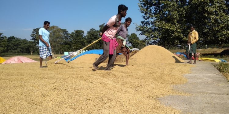 Middlemen knock on farmers’ doors