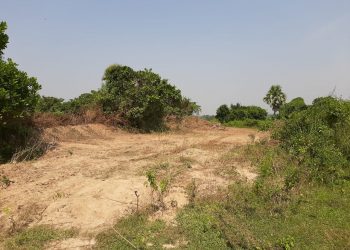 Siadimalia moat wallows in neglect