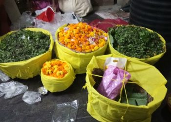 Subarnapur Basil leaves, flowers sent for Nagarjuna Besha