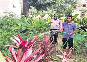 Teacher-student duo’s efforts to save greenery lauded