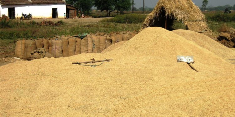 Traders sneak into system as farmers; admin orders probe