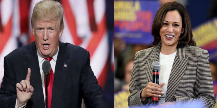 Trump-Harris