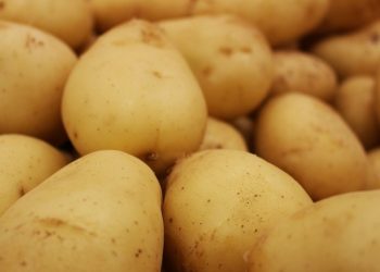 Odisha contemplates to procure potato from Uttar Pradesh