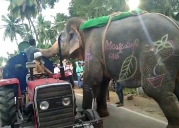 Elephant stops water tanker to quench thirst during Hampi utsav, video goes viral.