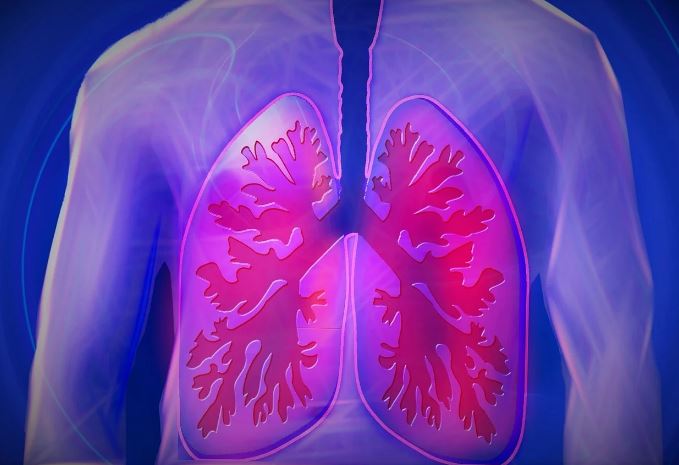 lungs - Omega-3 fatty acid