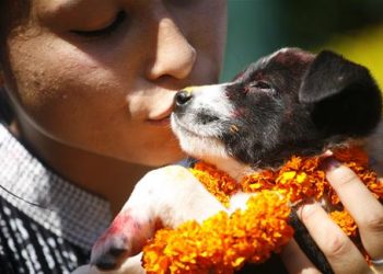 Weird country! Here people worship dogs on Diwali