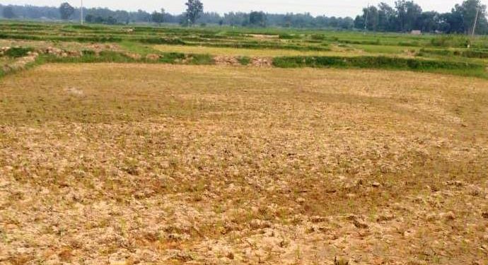 Big money spent, Udaysagar is no use for farmers