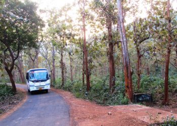 SOP for picnic vehicles in Odisha