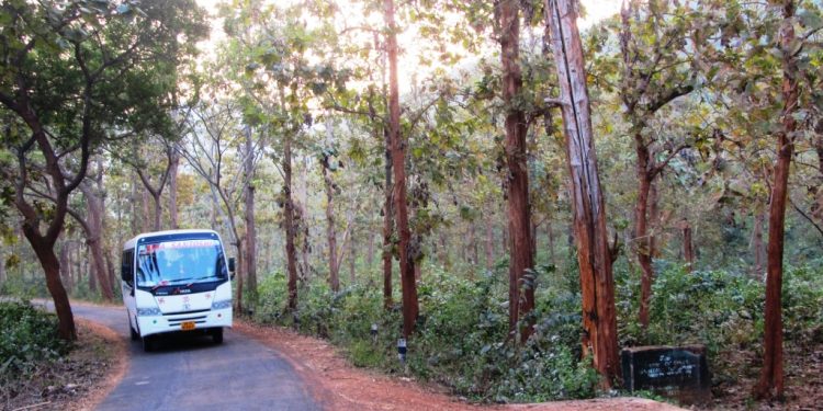 SOP for picnic vehicles in Odisha