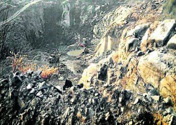 Forest dept employees attacked by stone mining mafia in Dhenkanal; 7 critically injured