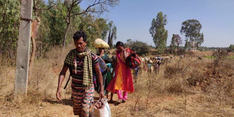 File photo of migrants returning to their villages in Odisha in the wake of Covid-19 pandemic.