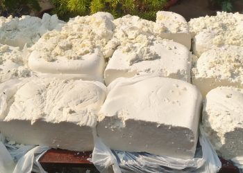 One arrested in Cuttack synthetic paneer seizure case