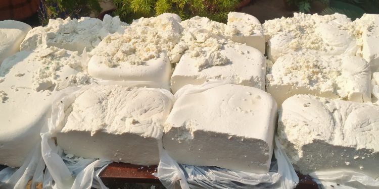 One arrested in Cuttack synthetic paneer seizure case