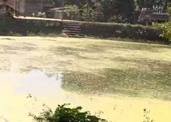 Pari death case Drying up of pond where Pari’s skeletal remains were found started