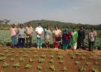 Success stories This is how these Angul farmers doubled their incomes
