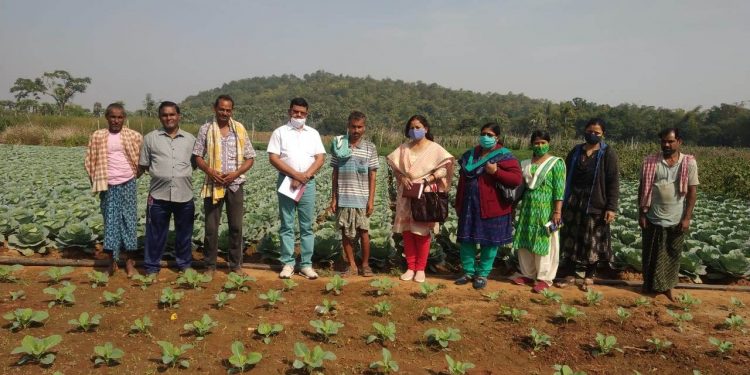 Success stories This is how these Angul farmers doubled their incomes