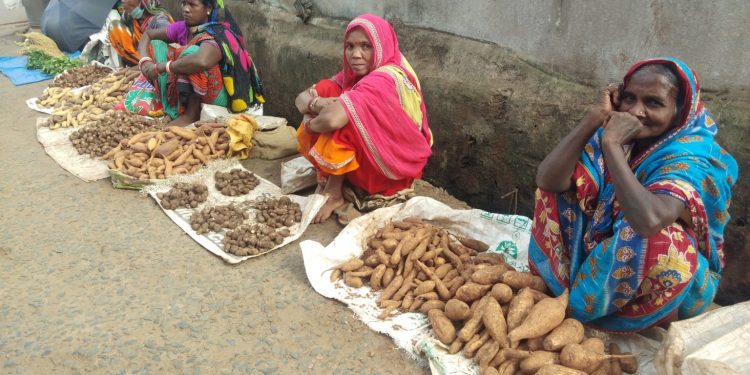 Sweet potato farmers’ hope for good return turns sour in Keonjhar 