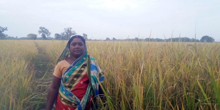 This female organic farmer leads the way