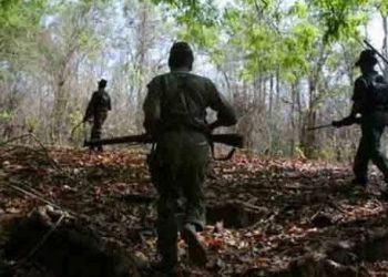 Two Maoists gunned down in Odisha, huge cache of explosives seized