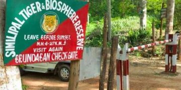 Two policemen arrested for hunting inside Simlipal National Park in Mayurbhanj
