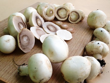 Mushroom helps in reducing hair fall; know its other magical benefits