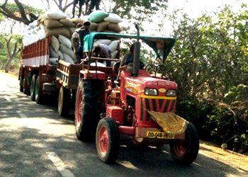 Andhra traders make hay in Bhadrak district