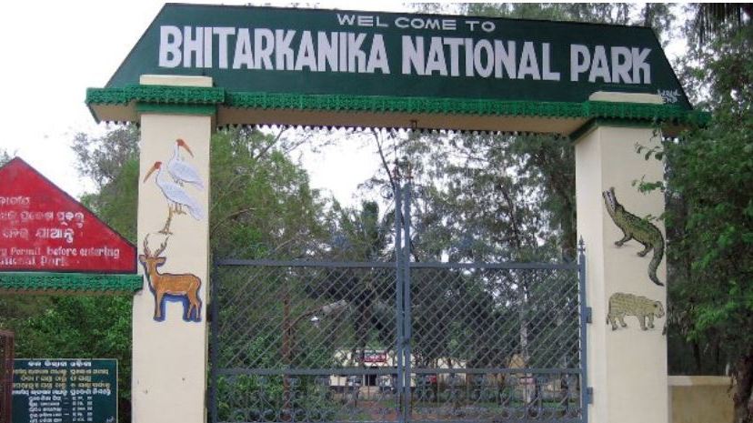 Bhitarkanika National Park reopens gates for visitors