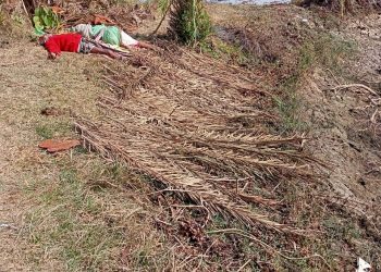Bodies of elderly couple recovered in Balasore village