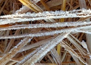 Cold weather conditions to continue for next 24 hours in Odisha