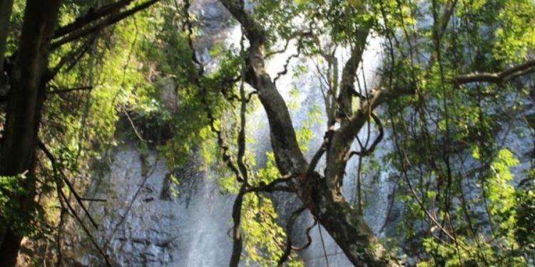 Durgapadu waterfall cries for attention