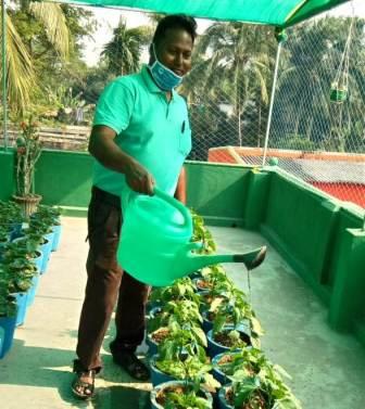 Engineer-turned-farmer scripts success story in Odisha's Jagatsinghpur district - Vimarsana News