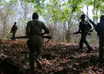Maoist killed in gunfight with forces in Malkangiri